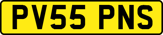 PV55PNS