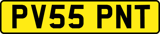 PV55PNT