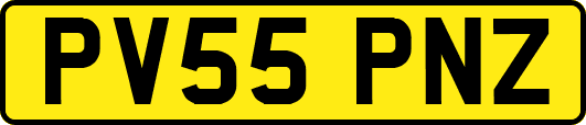 PV55PNZ