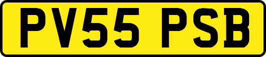 PV55PSB