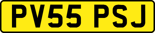 PV55PSJ