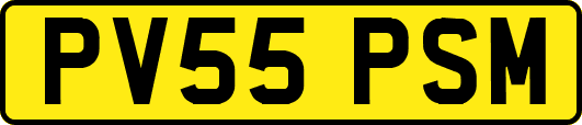 PV55PSM