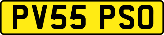 PV55PSO