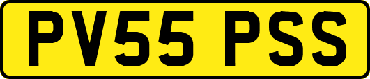 PV55PSS