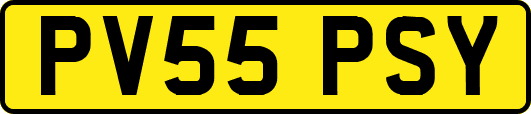 PV55PSY