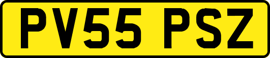 PV55PSZ