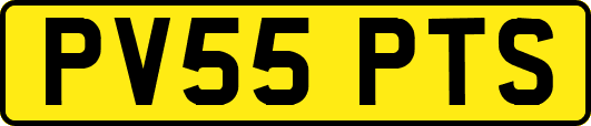 PV55PTS