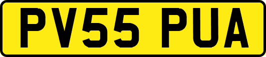 PV55PUA