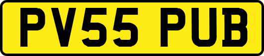 PV55PUB
