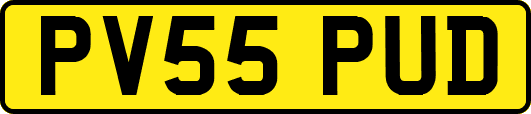 PV55PUD