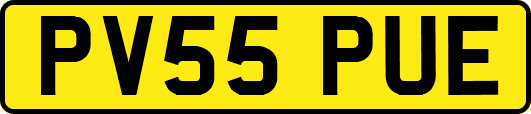 PV55PUE