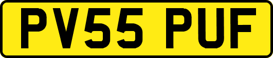 PV55PUF