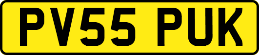 PV55PUK