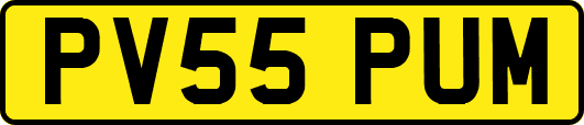 PV55PUM