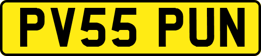 PV55PUN