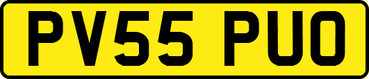PV55PUO