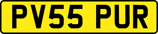 PV55PUR