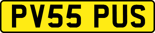PV55PUS