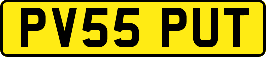 PV55PUT