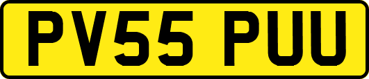 PV55PUU