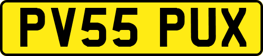 PV55PUX