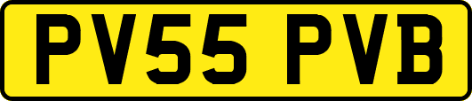 PV55PVB