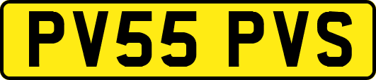 PV55PVS