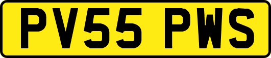 PV55PWS