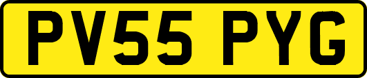 PV55PYG