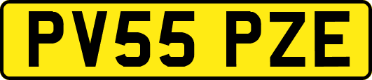 PV55PZE