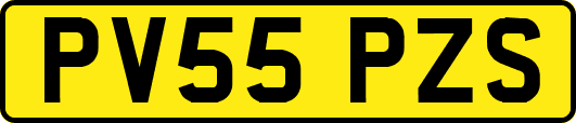 PV55PZS