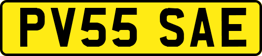 PV55SAE