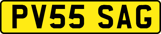 PV55SAG