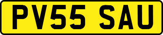 PV55SAU