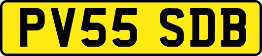 PV55SDB