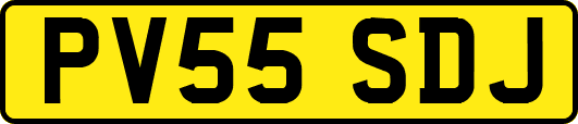 PV55SDJ