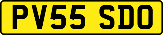 PV55SDO