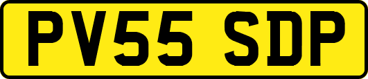PV55SDP