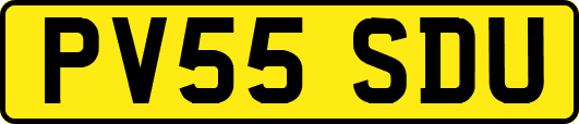 PV55SDU