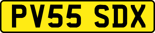 PV55SDX