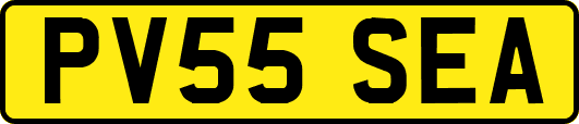 PV55SEA