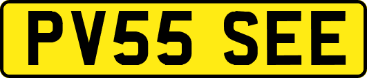 PV55SEE