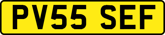 PV55SEF