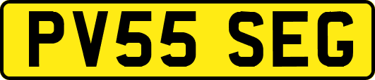 PV55SEG