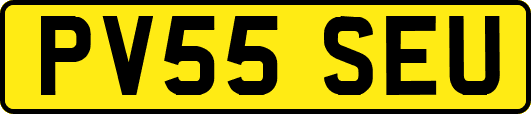 PV55SEU