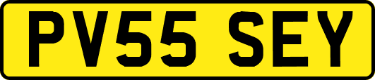 PV55SEY