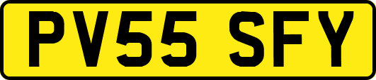 PV55SFY
