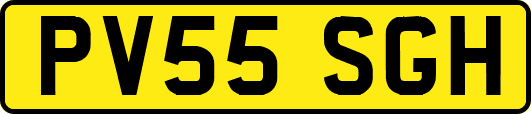 PV55SGH