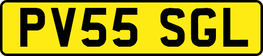 PV55SGL