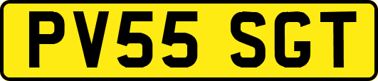 PV55SGT